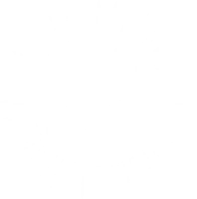 Gun Camp