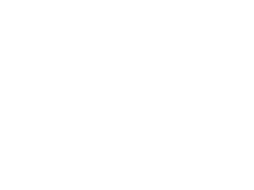 Lizzy Gang