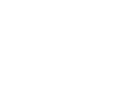 The Diplomats