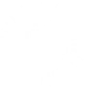 Gun Camp Gun Camp