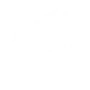 TS TS