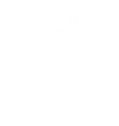 Wu-Tang Clan Wu-Tang Clan